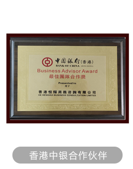 中银合作伙伴资质