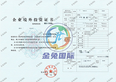 ODI备案成功案例3