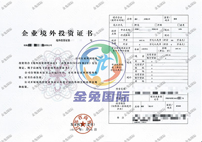 ODI备案成功案例2