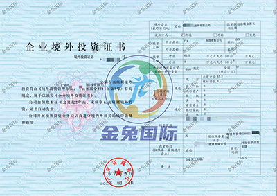 ODI备案成功案例3