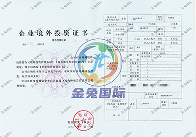 ODI备案成功案例2