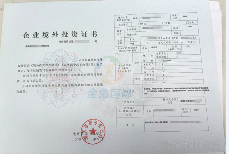 金兔国际成功案例