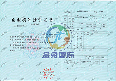 ODI备案成功案例2