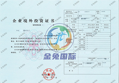 ODI备案成功案例3