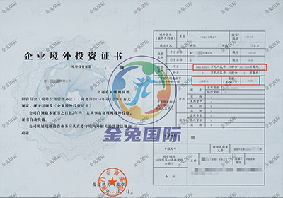 ODI备案成功案例3