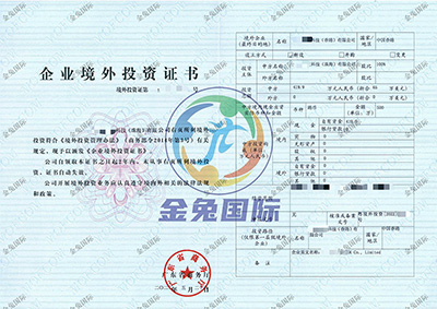 ODI备案成功案例1