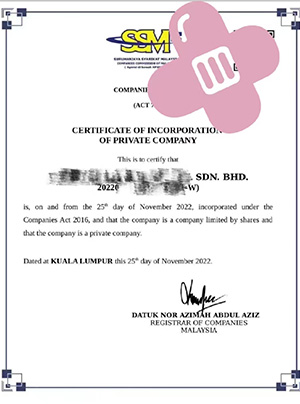 马来西亚公司注册证书样本，展示成功注册案例