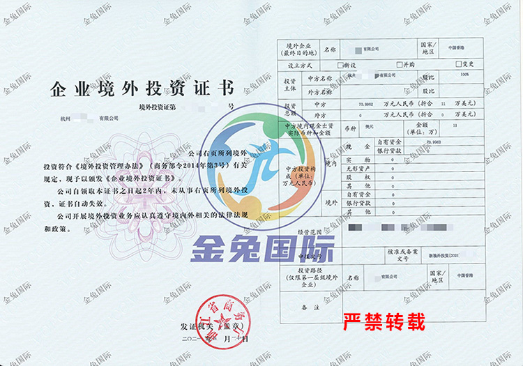 杭州ODI境外投资备案成功案例