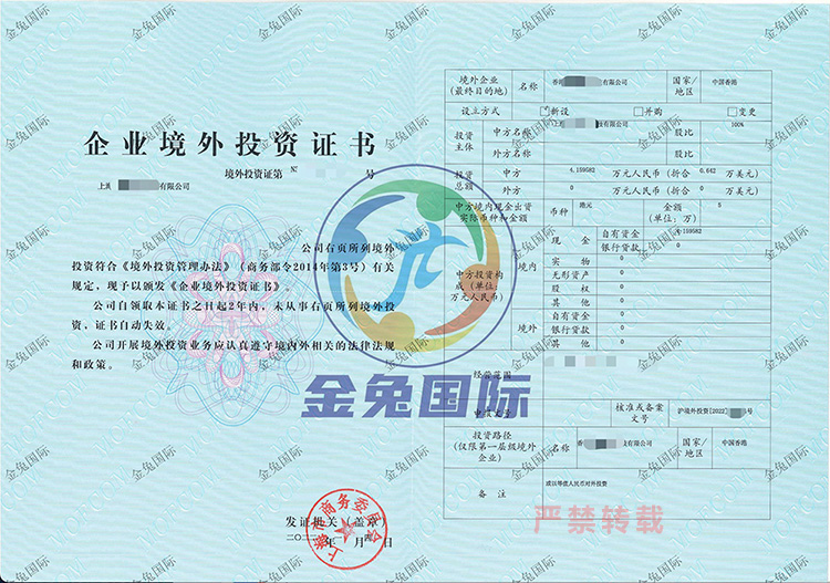 上海ODI境外投资备案成功案例