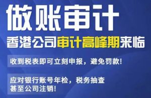 香港公司审计代办首选金兔国际，专业团队提供全流程审计服务