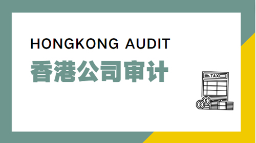香港公司无运营审计报告