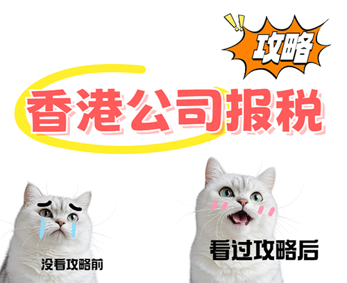 2025香港公司审计报税