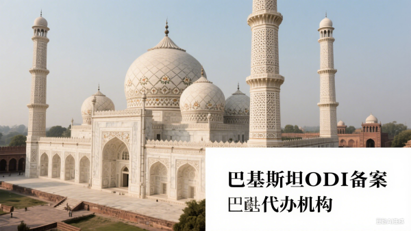 巴基斯坦ODI备案