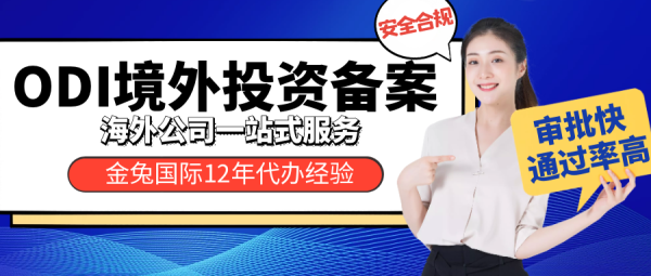2025跨境电商ODI备案代办机构：流程、要求与材料准备清单解析