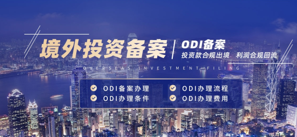 代办境外投资备案机构
