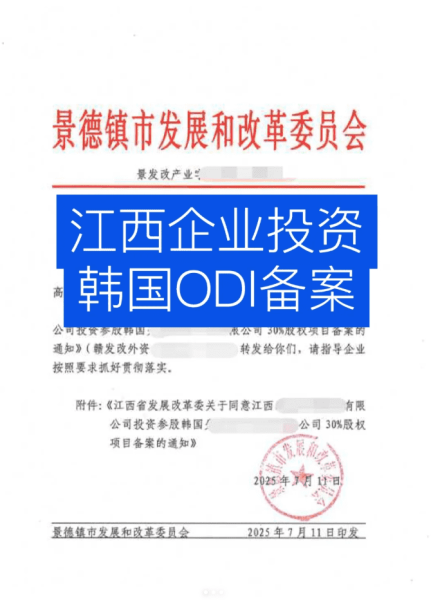 江西境外投资odi备案代办