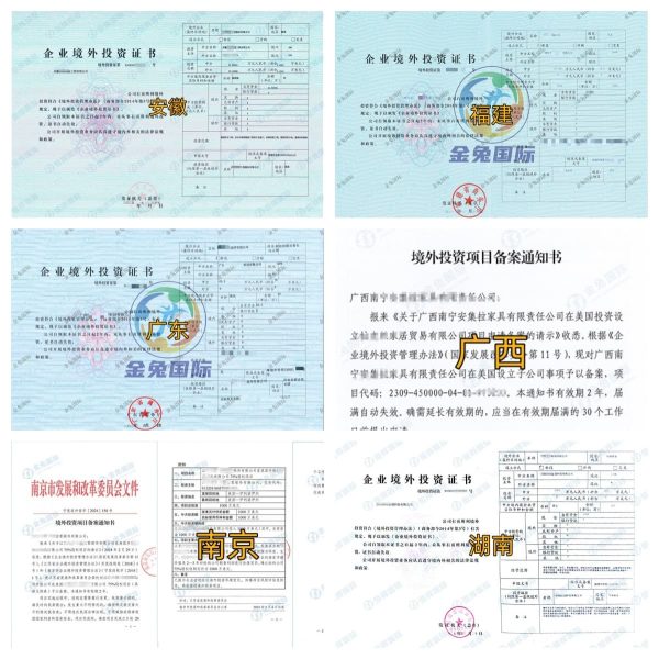 境外投资ODI备案代办服务全指南：如何选择专业靠谱的代理机构