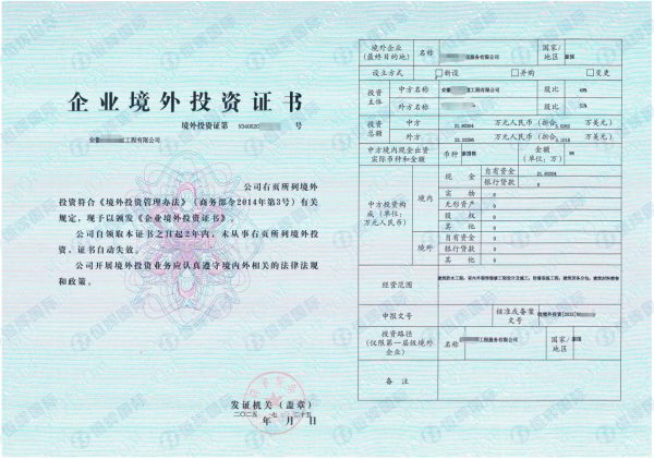 成功案例分享：企业如何快速获得境外投资证书